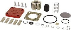 Tuthill - Repair Part Kit - For Use with Diaphragm Pumps - Industrial Tool & Supply