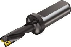 Sandvik Coromant - 43mm Max Drill Depth, 3.03704xD, 13.5mm Diam, Indexable Insert Drill - 2 Inserts, 20mm Shank Diam, Flange Shank - Industrial Tool & Supply