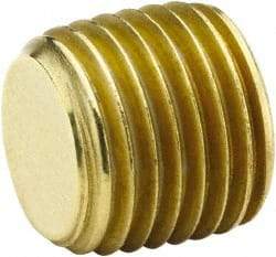 Parker - 3/4 Male Thread, Brass Industrial Pipe Hollow Hex Plug - MNPTF, 1,000 psi - Industrial Tool & Supply