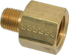 Parker - 1/4 Male Thread x 1/2 Female Thread, Brass Industrial Pipe Adapter - MNPTF x FNPTF, 1,000 psi - Industrial Tool & Supply