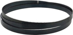 Starrett - 6 TPI, 7' 9" Long x 3/4" Wide x 0.032" Thick, Welded Band Saw Blade - Carbon Steel, Toothed Edge, Raker Tooth Set, Flexible Back, Contour Cutting - Industrial Tool & Supply
