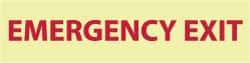 NMC - Emergency Exit, Pressure Sensitive Vinyl Exit Sign - 12" Wide x 3" High, Glow-in-the-Dark - Industrial Tool & Supply