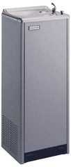 Halsey Taylor - 8 GPH Cooling Capacity Deluxe Floor Standing Water Cooler & Fountain - 0.16 hp, Optional Glass Filler Sold Separately - Industrial Tool & Supply