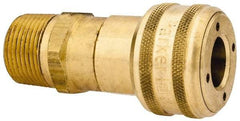 Parker - 3/4-14 Male NPT Industrial Pneumatic Hose Coupler - Brass, 1/2" Body Diam - Industrial Tool & Supply