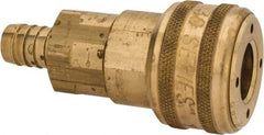 Parker - Hose Barb Industrial Pneumatic Hose Coupler - Brass, 1/2" Body Diam, 1/2" Hose ID - Industrial Tool & Supply