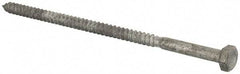 Value Collection - 1/4" Screw, 5-1/2" Length Under Head, Steel, Hex Head Lag Screw - Hot Dipped Galvanized, Grade 2 - Industrial Tool & Supply