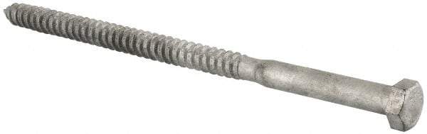 Value Collection - 1/2" Screw, 9" Length Under Head, Steel, Hex Head Lag Screw - Hot Dipped Galvanized, Grade 2 - Industrial Tool & Supply
