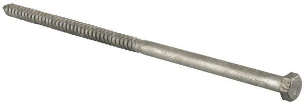 Value Collection - 1/2" Screw, 12" Length Under Head, Steel, Hex Head Lag Screw - Hot Dipped Galvanized, Grade 2 - Industrial Tool & Supply