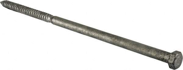 Value Collection - 5/8" Screw, 16" Length Under Head, Steel, Hex Head Lag Screw - Hot Dipped Galvanized, Grade 2 - Industrial Tool & Supply
