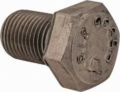Value Collection - 1/2-20 UNF, 3/4" Length Under Head Hex Head Cap Screw - Fully Threaded, Grade 316 Stainless Steel, Uncoated, 3/4" Hex - Industrial Tool & Supply
