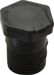 NIBCO - 1/2" Polypropylene Plastic Pipe Threaded Plug - Schedule 80, MPT End Connections - Industrial Tool & Supply