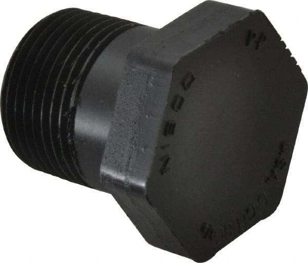 NIBCO - 3/4" Polypropylene Plastic Pipe Threaded Plug - Schedule 80, MPT End Connections - Industrial Tool & Supply