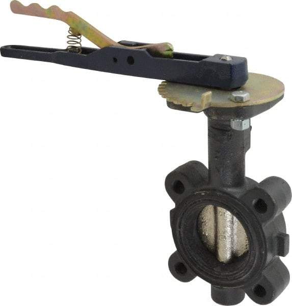 NIBCO - 2" Pipe, Lug Butterfly Valve - Lever Handle, Ductile Iron Body, EPDM Seat, 250 WOG, Ductile Iron Disc, Stainless Steel Stem - Industrial Tool & Supply