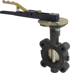 NIBCO - 2" Pipe, Lug Butterfly Valve - Lever Handle, Ductile Iron Body, EPDM Seat, 250 WOG, Ductile Iron Disc, Stainless Steel Stem - Industrial Tool & Supply