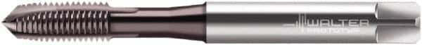 Walter-Prototyp - #12-24 UNC 3 Flute 2B Plug Spiral Point Tap - High Speed Steel, Hardlube Finish, Right Hand Thread, Series AEP2221002 - Exact Industrial Supply