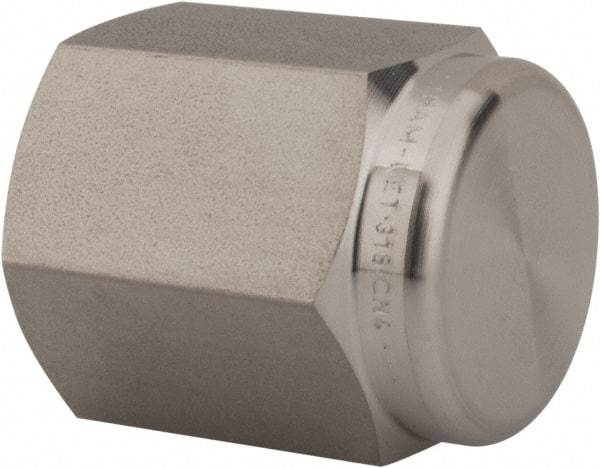 Ham-Let - 1/4" Grade 316 Stainless Steel Pipe End Cap - FNPT End Connections, 6,200 psi - Industrial Tool & Supply