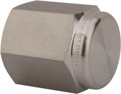 Ham-Let - 1/4" Grade 316 Stainless Steel Pipe End Cap - FNPT End Connections, 6,200 psi - Industrial Tool & Supply