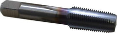 Hertel - 1/8-27 NPT Thread, 4 Flute Standard Pipe Tap - 2-1/8" OAL, TiCN Finish, High Speed Steel - Exact Industrial Supply