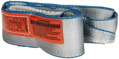 Lift-All - 5' Long x 3" Wide, 4,800 Lb Vertical Capacity, 1 Ply, Polyester Web Sling - 3,800 Lb Choker Capacity - Industrial Tool & Supply