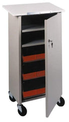Lockwood Mfg. - 24 Inches Wide x 44 Inches High x 16 Inches Deep Portable Multi-Task Stand - With Door - Industrial Tool & Supply