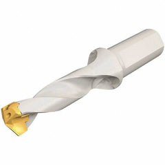 Iscar - 19 to 19.9mm Diam, 3xD, 57mm Max Depth, 25mm Shank Diam, 140.8mm OAL, Replaceable Tip Drill - IDK, IDM, IDN, IDP Insert, 19 Seat Size, DSM Toolholder, Series ChamDrillJet - Industrial Tool & Supply