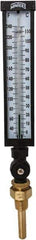 Winters - 30 to 240°F, Industrial Thermometer with Standard Thermowell - 3 Inch Immersion Length, 3-1/2 Inch Stem Length, 17 Inch Long, 3/4 Inch Thread - Industrial Tool & Supply