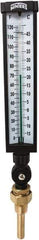 Winters - -15 to 120°F, Industrial Thermometer with Standard Thermowell - 3 Inch Immersion Length, 3-1/2 Inch Stem Length, 17 Inch Long, 3/4 Inch Thread - Industrial Tool & Supply