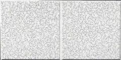 Armstrong World - 48" Long x 24" Wide, Wet-Formed Mineral Fiber Acoustic Ceiling Tile - ASTM E1264 Specification, White - Industrial Tool & Supply