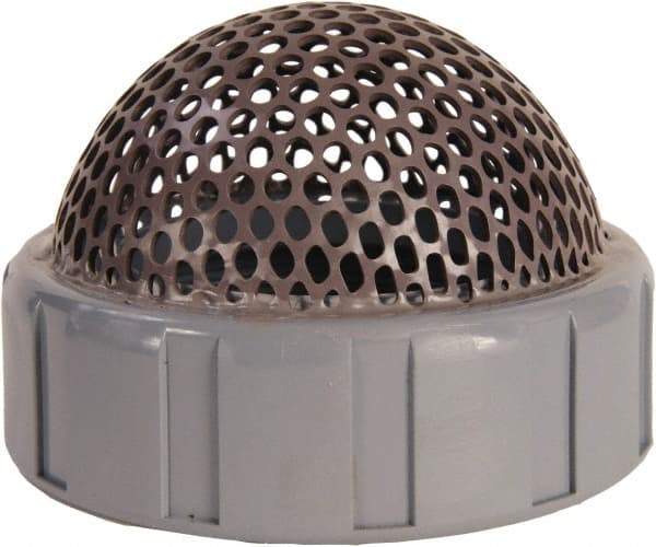 Hayward - 3/4" Hose, Foot Valve - CPVC - Industrial Tool & Supply