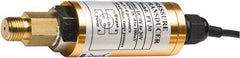 Extech - 30 Max psi, NPT Connection Pressure Transducer - 1/4" Thread - Industrial Tool & Supply
