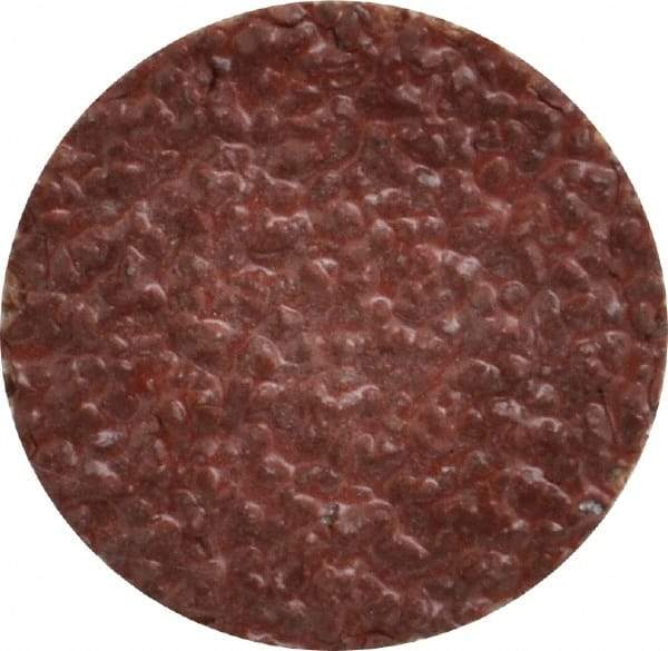 Tru-Maxx - 1" Disc Diam, 24 Grit, Aluminum Oxide Quick Change Disc - Type S Attaching System, Coated, Brown, Very Coarse Grade, 30,000 RPM - Industrial Tool & Supply