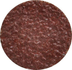 Tru-Maxx - 1" Disc Diam, 24 Grit, Aluminum Oxide Quick Change Disc - Type S Attaching System, Coated, Brown, Very Coarse Grade, 30,000 RPM - Industrial Tool & Supply