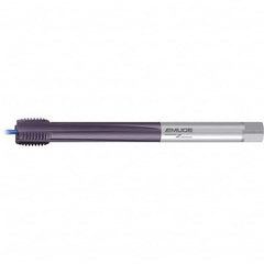 Emuge - Extension Taps Thread Size: M33x3.50 Overall Length (mm): 290.00 - Industrial Tool & Supply