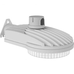 Hubbell Lighting - Parking Lot & Roadway Lights Fixture Type: Roadway Light Lamp Type: LED - Industrial Tool & Supply