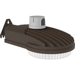 Hubbell Lighting - Parking Lot & Roadway Lights Fixture Type: Roadway Light Lamp Type: LED - Industrial Tool & Supply