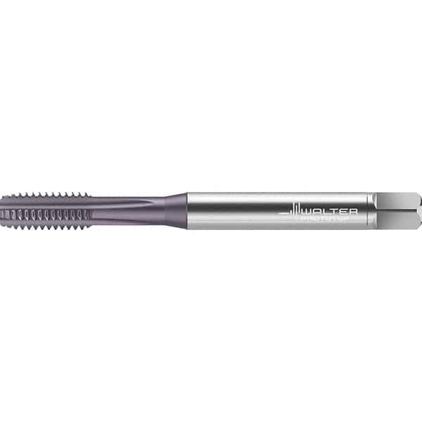 Walter-Prototyp - Straight Flute Taps Tap Type: Machine Tap Thread Size (Inch): #6-32 - Exact Industrial Supply