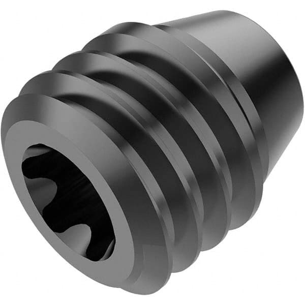 Seco - Caps & Plugs For Indexables Type: Plug Indexable Tool Type: Turning Toolholder - Industrial Tool & Supply