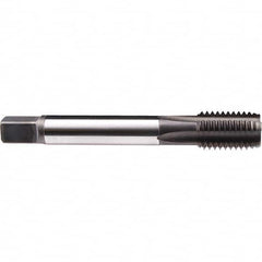 Emuge - 1-1/4 - 8 UN-8 2B 0 Flute Nitride Finish Cobalt Machine Tap - Industrial Tool & Supply