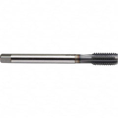 Emuge - M16x1.50 Metric Fine 6H 0 Flute TiCN Finish Powdered Metal Machine Tap - Industrial Tool & Supply