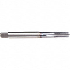 Emuge - M16x2.00 Metric 6H 0 Flute TiCN Finish Powdered Metal Machine Tap - Industrial Tool & Supply
