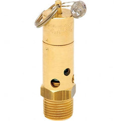 Control Devices - 1/2" Inlet, ASME Safety Valve - Industrial Tool & Supply