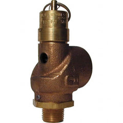Control Devices - 1/2" Inlet, 3/4" Outlet, ASME Safety Valve - Industrial Tool & Supply