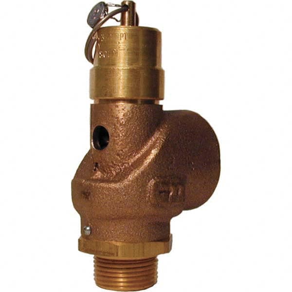 Control Devices - 3/4" Inlet, 3/4" Outlet, ASME Safety Valve - Industrial Tool & Supply
