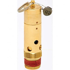 Control Devices - 1/2" Inlet, ASME Safety Valve - Industrial Tool & Supply