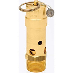 Control Devices - 3/4" Inlet, ASME Safety Valve - Industrial Tool & Supply