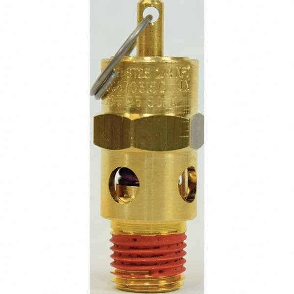 Control Devices - 1/4" Inlet, ASME Safety Valve - Industrial Tool & Supply