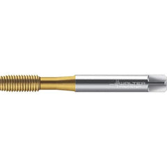 Walter-Prototyp - M2x0.40 DIN 2174 6GX 1.830 Thread Limit Semi-Bottoming Thread Forming Tap - Powdered Metal High Speed Steel, TiN Finish, 45.92mm OAL, 4mm Thread Length, Right Hand Thread, Series TC420 - Exact Industrial Supply
