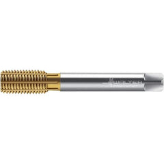 Walter-Prototyp - M8x1.00 DIN 2174 6HX 7.590 Thread Limit Semi-Bottoming Thread Forming Tap - Powdered Metal High Speed Steel, TiN Finish, 90mm OAL, 12mm Thread Length, Right Hand Thread, Series TC420 - Industrial Tool & Supply