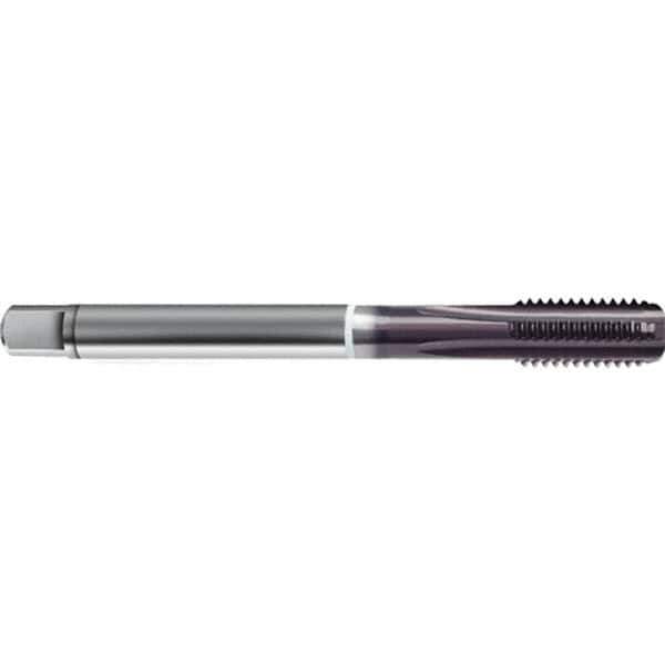 Guhring - M12x1.75 Metric 6HX 4 Flute TiAlN Finish High Speed Steel Straight Flute Standard Hand Tap - Modified Bottoming, Right Hand Thread, 110mm OAL, D6/D7 Limit - Exact Industrial Supply