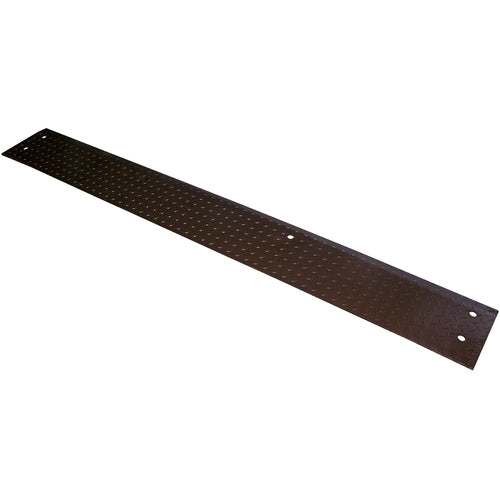 Edge-O-Dockleveler Approach Plate 96 × 12 - Exact Industrial Supply